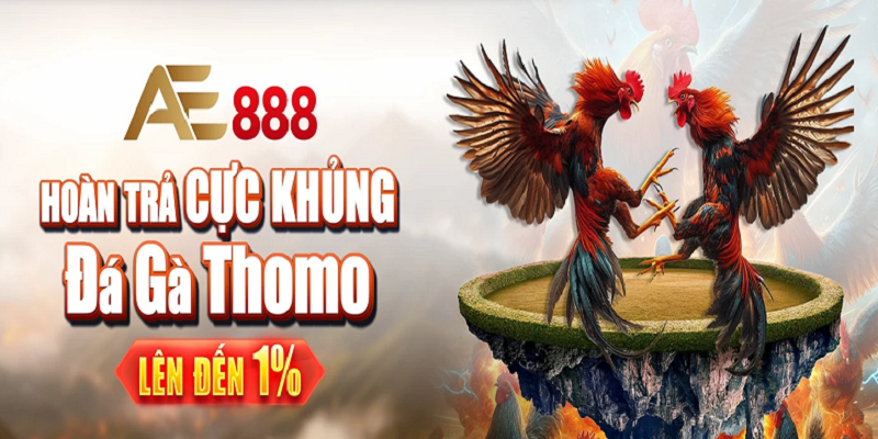 Trang đá gà online ăn tiền AE888